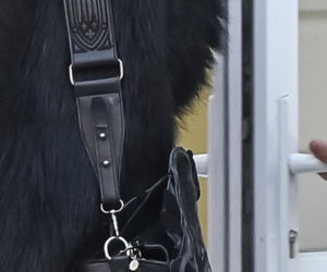 Mateusz Pawłowski, Kacper z „Rodzinki.pl” z dziewczyną przed treningiem „Tańca z Gwiazdam”