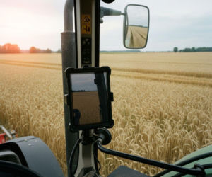 Rolnictwo: Jak wyjść z kryzysu?