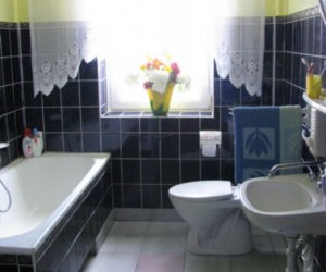 Zdjęcie 7591