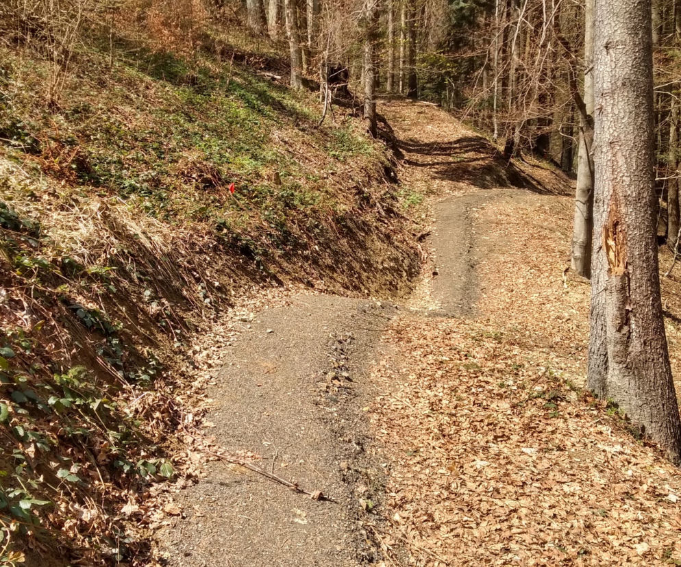 Singletrack pod Honem
