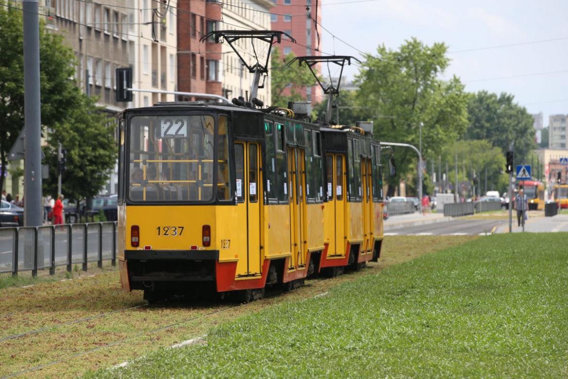 Torowisko na Grochowskiej w końcu pokrył rozchodnik
