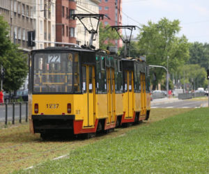 Torowisko na Grochowskiej w końcu pokrył rozchodnik