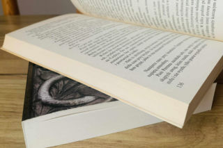 Rz czy ż? Ó czy u? To największe pułapki w polskiej ortografii. Sprawdź się w szybkim quizie z języka polskiego! [QUIZ]