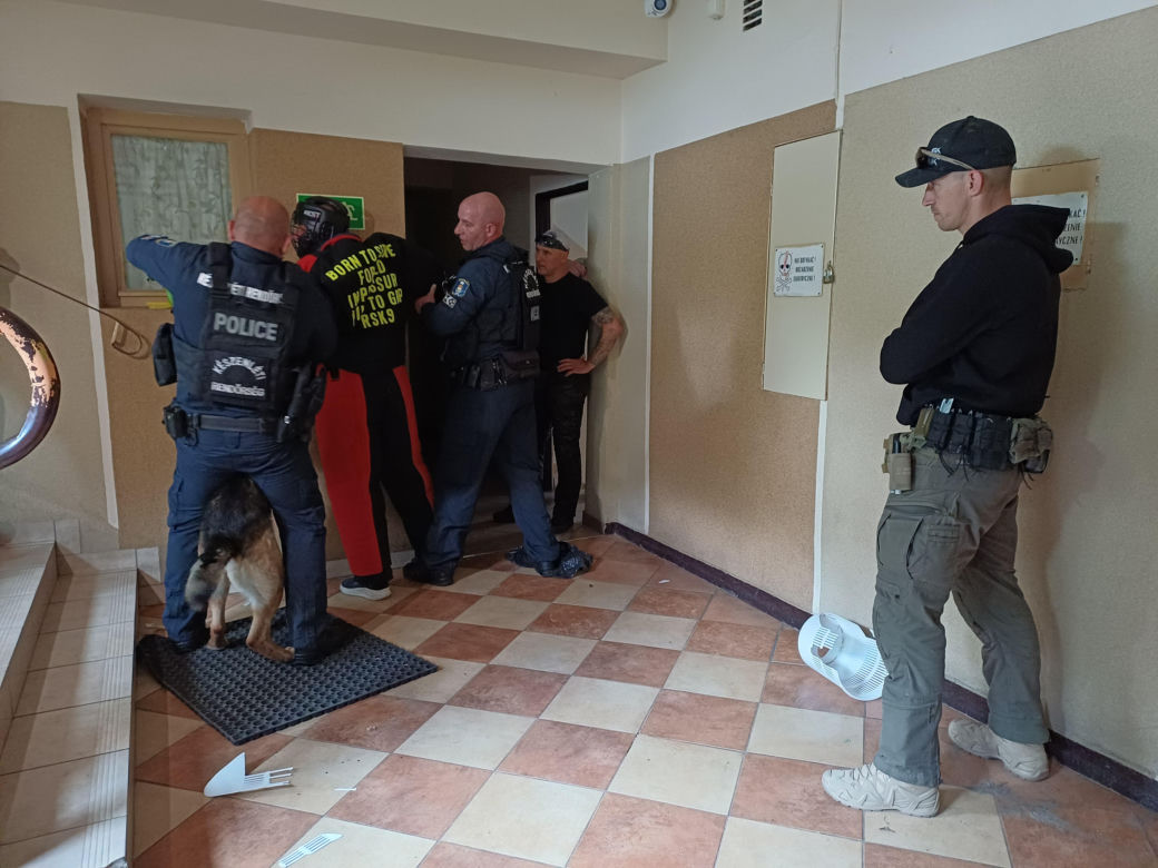 Psy służbowe, szkolenia i strefa pierwszej pomocy. Trwa drugi dzień CERBERUS K9 w Ostrowie