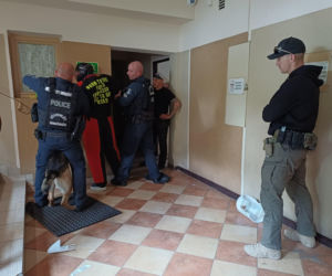 Psy służbowe, szkolenia i strefa pierwszej pomocy. Trwa drugi dzień CERBERUS K9 w Ostrowie