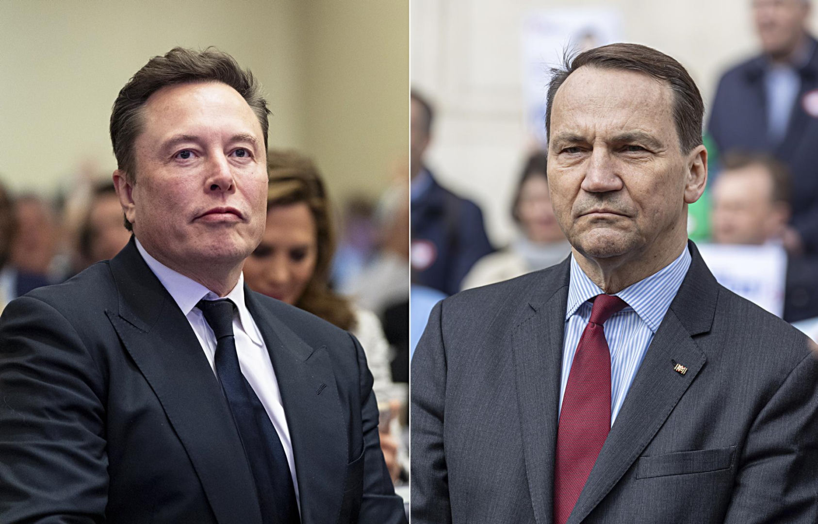 "Hey, large  man." Sikorski threatened Elon Musk. $50 million in the background