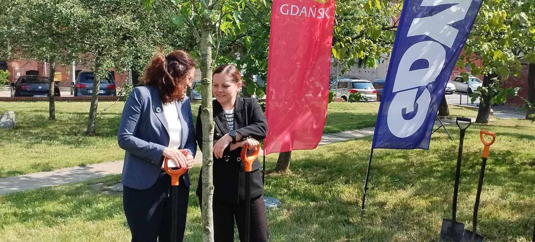 Obietnica frekwencyjna dotrzymana! Prezydentki Gdańska i Gdyni zasadziły drzewo