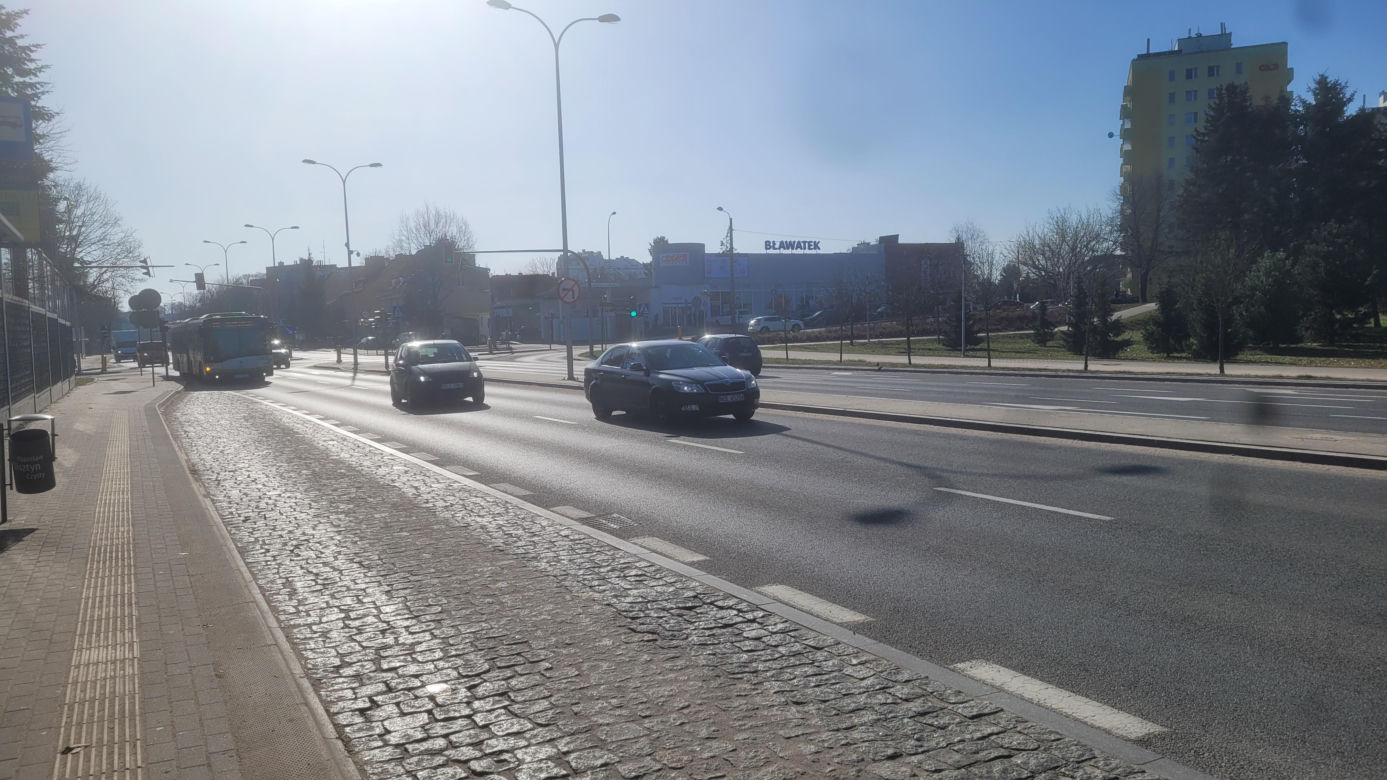 Tak źle jeszcze nie było? Olsztyn cały zaśmiecony. „Jest to problem dla właścicieli zwierząt i turystów”