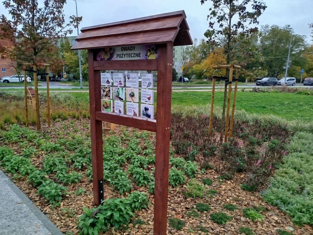 Park kieszonkowy w Siedlcach przy ul. Brzeskiej