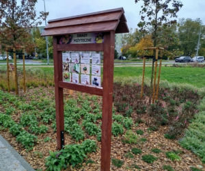 Park kieszonkowy w Siedlcach przy ul. Brzeskiej