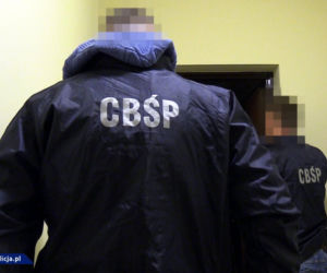 Zmuszali je do nierządu, wysyłali do Francji. CBŚP z Lublina rozbiło gang sutenerów