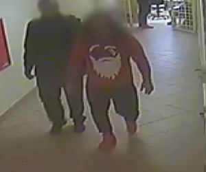 Wyłudzali mieszkania i mordowali właścicieli. Bezwzględny gang trucicieli w rękach policji