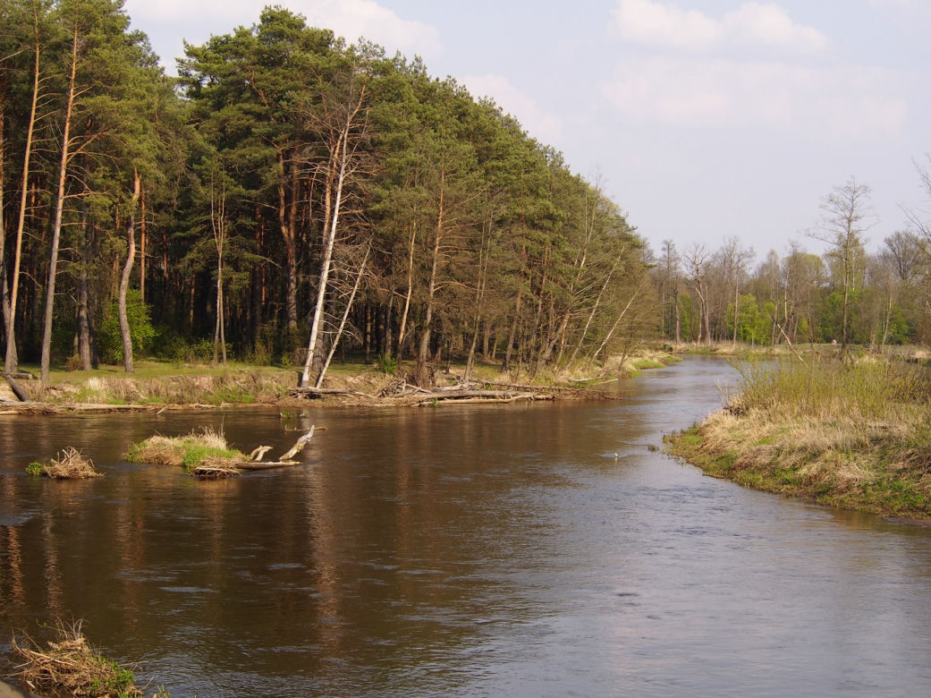 Świniotop (pow. wyszkowski)