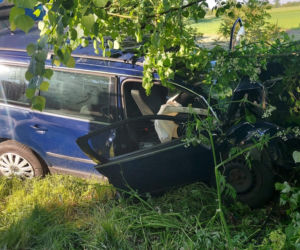 30-latek zginął pod Gostyninem! Jego volkswagen rozbił się o drzewo [ZDJĘCIA]