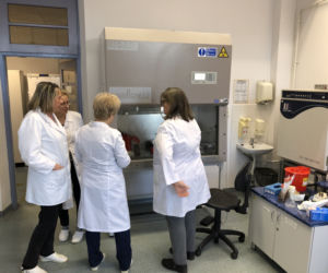 Testy na koronawirusa wreszcie w Białymstoku. Zobacz jak wygląda laboratorium [ZDJĘCIA]