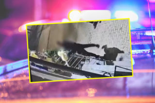 Ukradł sztuczną kurę, bo był pijany! Monitoring uwiecznił wszystko