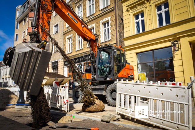 Nowe nasadzenia na Pl. Orła Białego