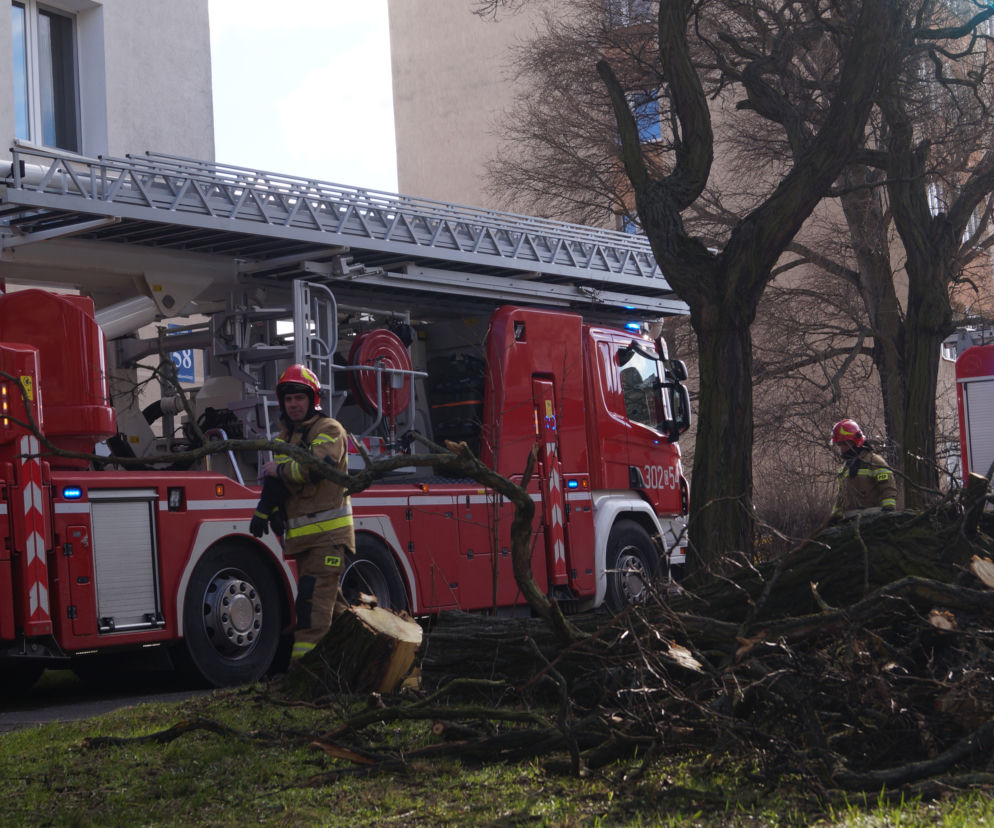 Niszczycielska wichura w Bydgoszczy [ZDJĘCIA]