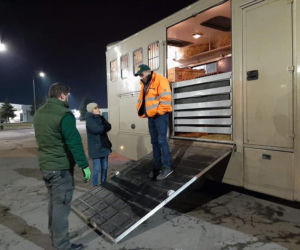 Ukraińskie zwierzęta uratowane! Są w drodze do Poznania. Cudem przeżyły transport