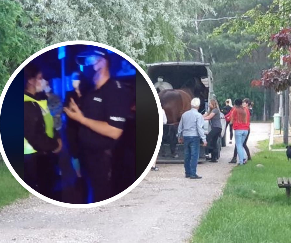 PILNE! Konie ze stajni w Wawrzkowiznie zostają. Zarząd przeprasza i wycofuje się z decyzji
