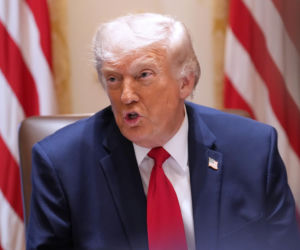 Bawół wygląda jak Donald Trump! To ocaliło mu życie