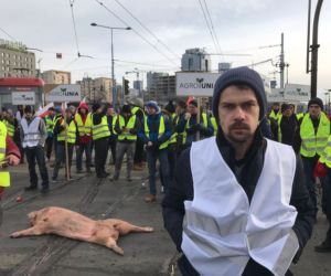 Protesty rolników w Warszawie. Palenie opon i świńskie łby na placu Zawiszy