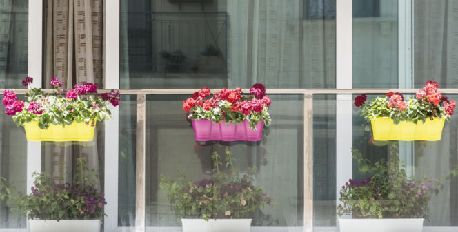 Balkon z doniczkami