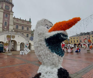 Bajkowa instalacja przed zamojski ratuszem