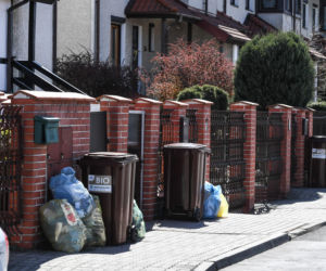 Bydgoszcz tonie w śmieciach. Będzie kolejna epidemia?