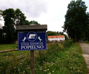 Warmia i Mazury. Wypoczynek bez tłumów