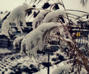 Zima Starachowice 29.11.2020