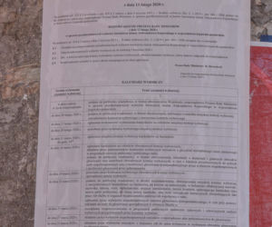 Wybory na burmistrza w trakcie pandemii