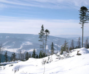Góry Opawskie: Pojawił się pierwszy śnieg. Po turystach ani śladu