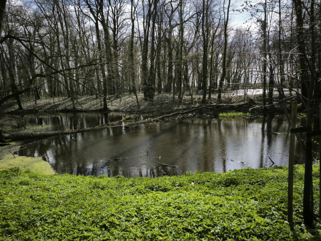 Pałac w Pawłowicach