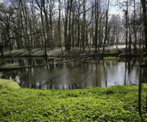 Pałac w Pawłowicach