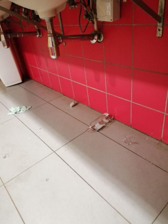  Nastolatkowi jak tsunami przeszli przez toaletę. Zniszczenia sięgają 15 tysięcy!
