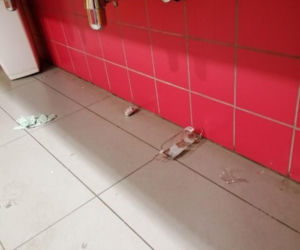  Nastolatkowi jak tsunami przeszli przez toaletę. Zniszczenia sięgają 15 tysięcy!