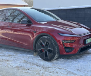 Model Y (Performance)