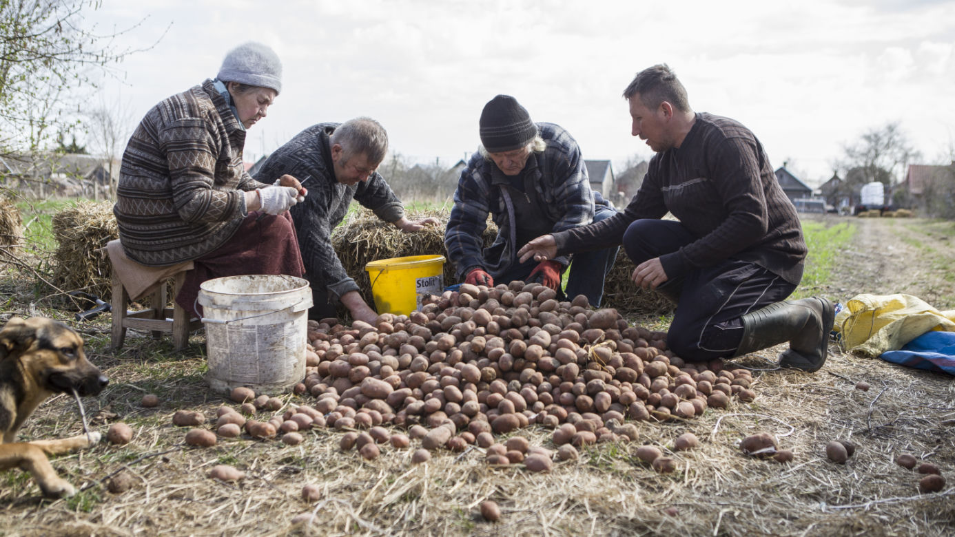 Rolnicy. Podlasie. Cała prawda o Gienku z Plutycz