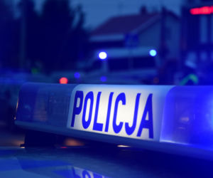 Przemyśl: Złodziej wpadł podczas włamania do altanki 