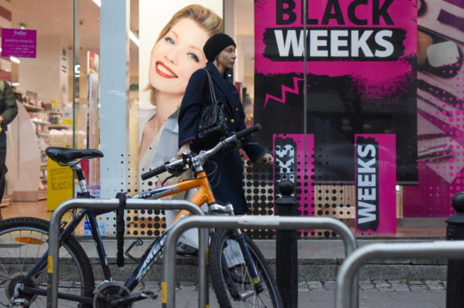 Katarzyna Warnke na zakupach