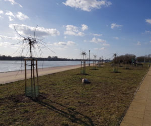 PGE Toruń wspiera zieleń i zagrożone gatunki zwierząt!