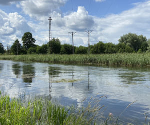 Ernest zginął ratując żeglarzy