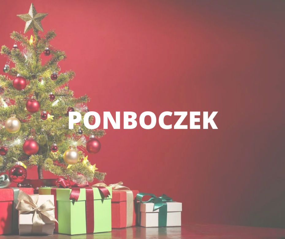 Śląski Słownik Bożonarodzeniowy. Te wyrazy warto zapamiętać! [ZDJĘCIA]