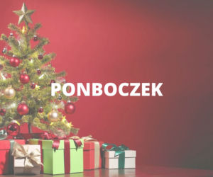 Śląski Słownik Bożonarodzeniowy. Te wyrazy warto zapamiętać! [ZDJĘCIA]