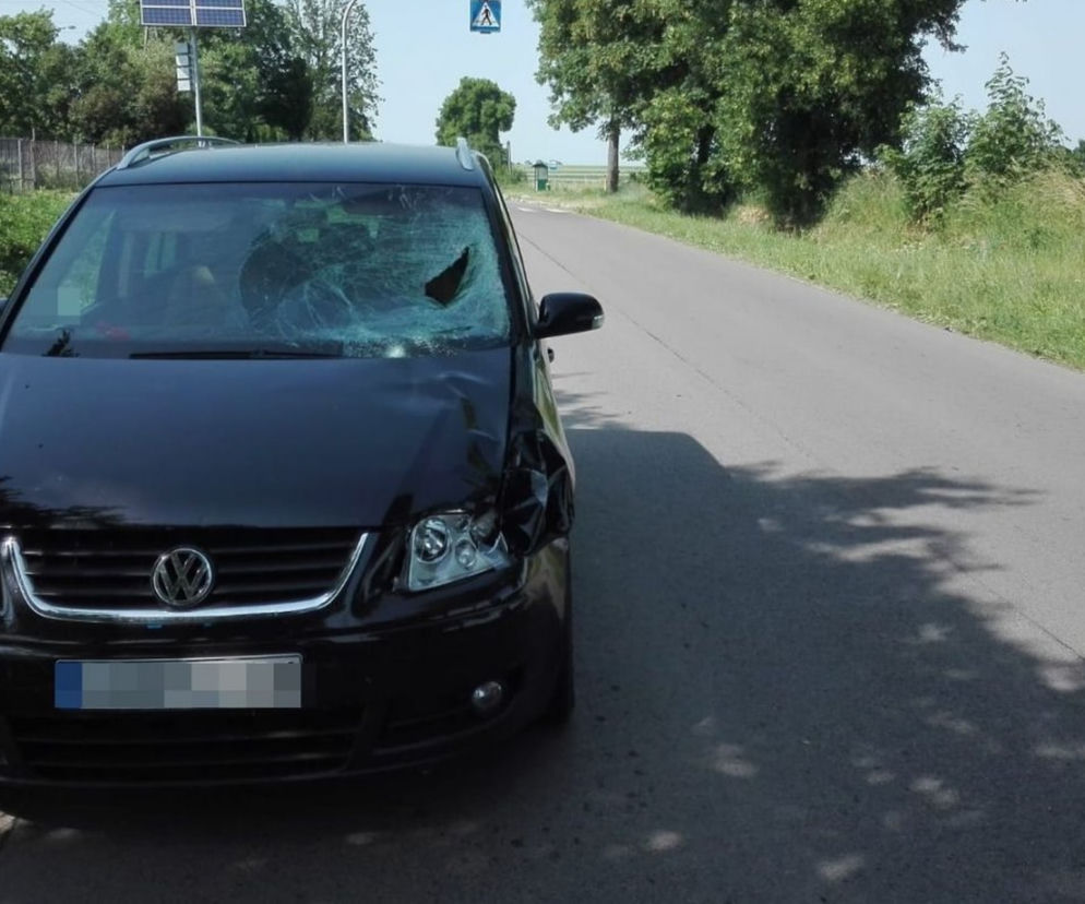 Pijany kierowca zabił 14-latkę! Makabryczny wypadek w Miączynie Kolonii