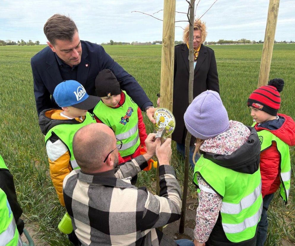 Zazieleni się Trojanowskiego. Przy ulicy posadzono drzewa