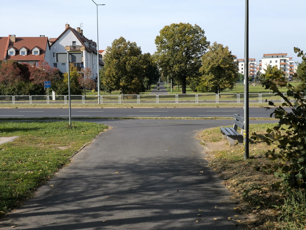 Będzie nowe przejście dla pieszych na Alei Konstytucji 3-go Maja