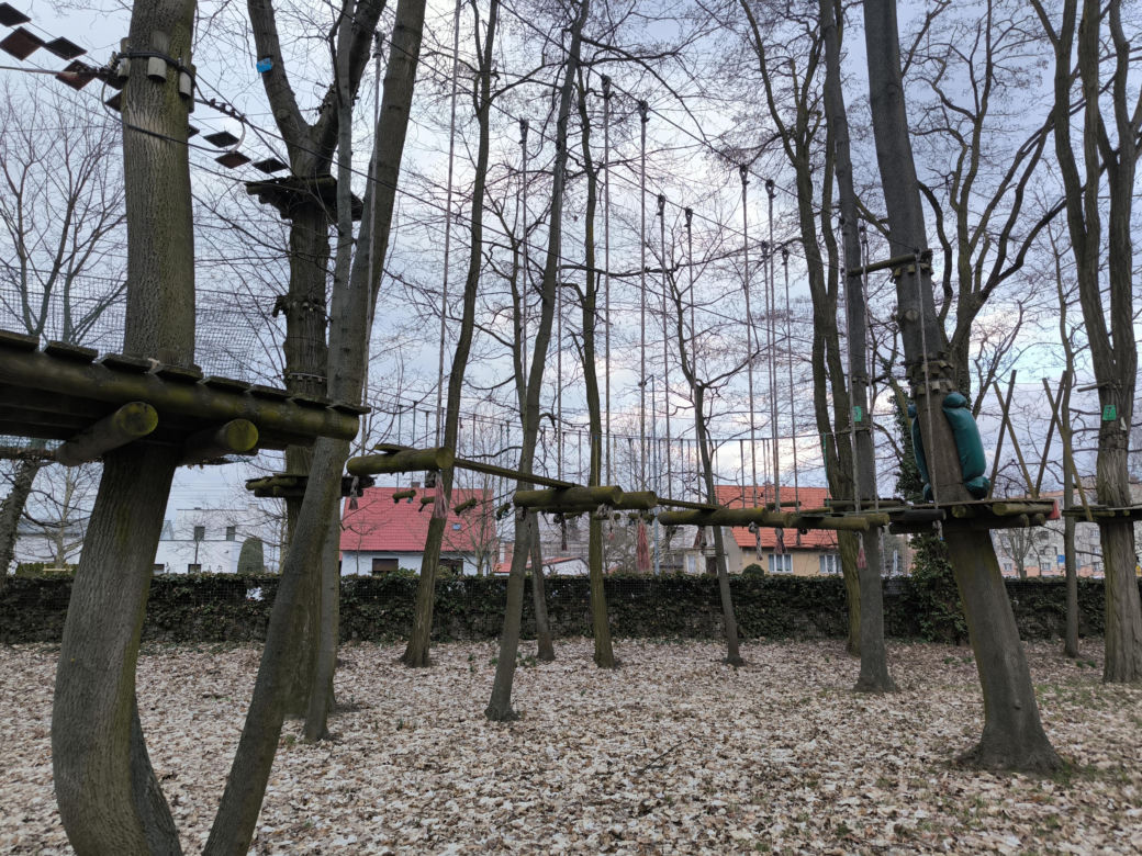 Park Linowy Tarzan w Lesznie