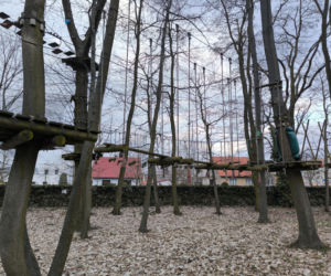 Park Linowy Tarzan w Lesznie